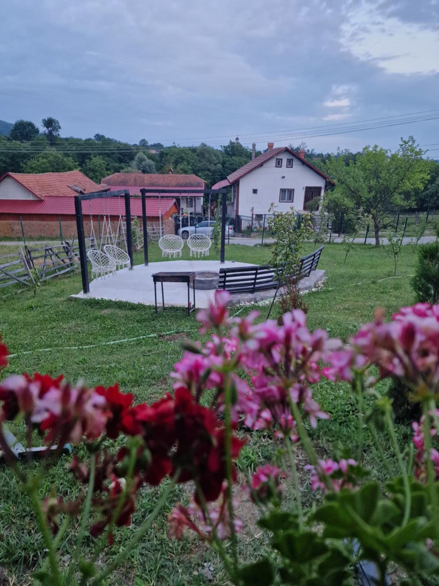 Casa dintre munti Hotel Novaci Străini Exterior foto